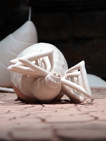 Spider