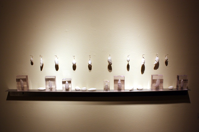 Collection (pinned and contained)