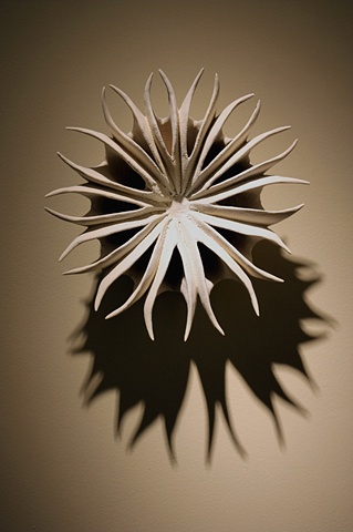 Flower Remnant #3