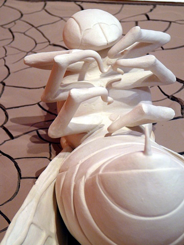 Wasp (detail)