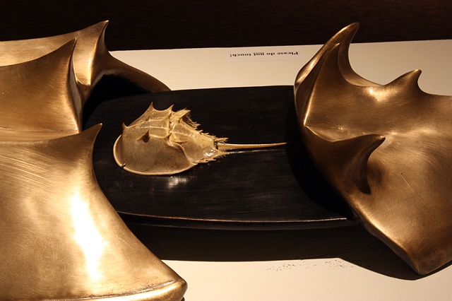 Horeshoe Crab Reliquary (detail)
