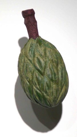 Magnolia