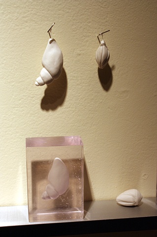 Collection (pinned and contained), detail
