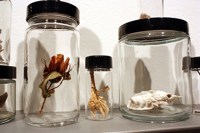 Manifestations of Nature (detail)