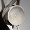 Vertebrae