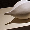 Seed Pod