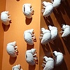 Swarm