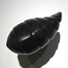 Segment