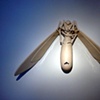 Blue Velvet Moth Reliquary
