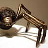 Small Spider