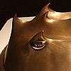 Horseshoe Crab Reliquary (open)
