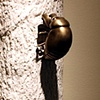 Cicada Reliquary