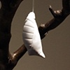 Awaiting (detail)