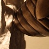 Cicada Reliquary (bronze detail)