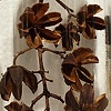 Manifestations of Nature (detail)
