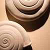 Shell Trio