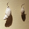 Collection (pinned and contained), detail