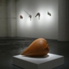 Seed (alternative view)