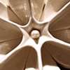 Wall Flower