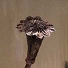 Manifestations of Nature (detail)