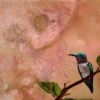 Mixed Media