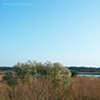 Nature Preserve