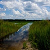 Crews Lake