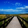 Crews Lake