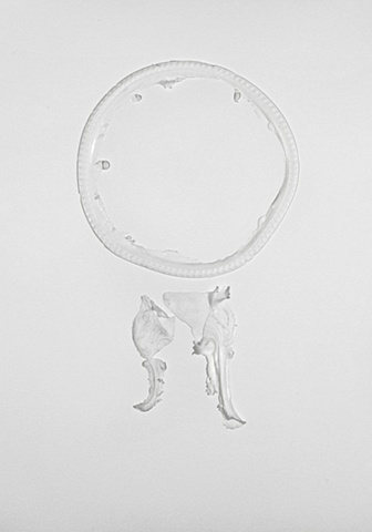 Whiteware