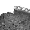 Bowl with Fragments of a Rim (detail)