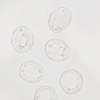 Whiteware
