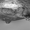 Bowl with Handles (detail)