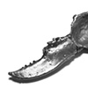 Spoon with Oyster Shell and Lobster Claw