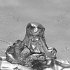 Tray with Four Feet (detail)