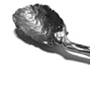 Large Serving Spoon with Bone Handle and Scroll Detail