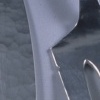 The First Name in Domestic Silver (detail)