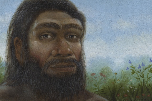 Search for the Historical Adam