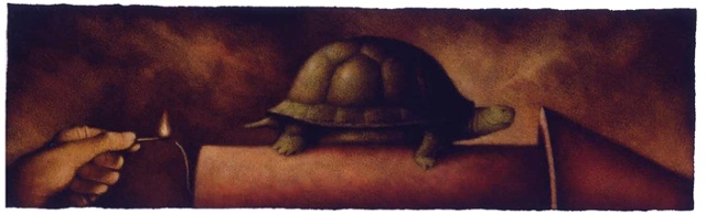 Turtle