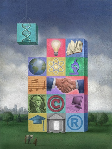 Intellectual Property Law