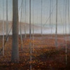 Memory of a Woodland