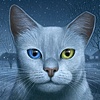 Winter Cats