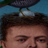 Nest