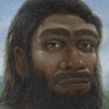 Search for the Historical Adam