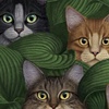 Cats in Hosta