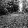 Sacred Forest, Fromental