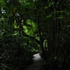 Garden in La Paz Hotel, San Marcos