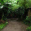 Pathway, San Marcos