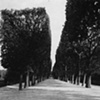 Jardin des Plantes, Paris
