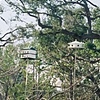 Bird Houses, Bay St. Louis