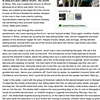 Newport Patch, April 14, 2012 (second page)